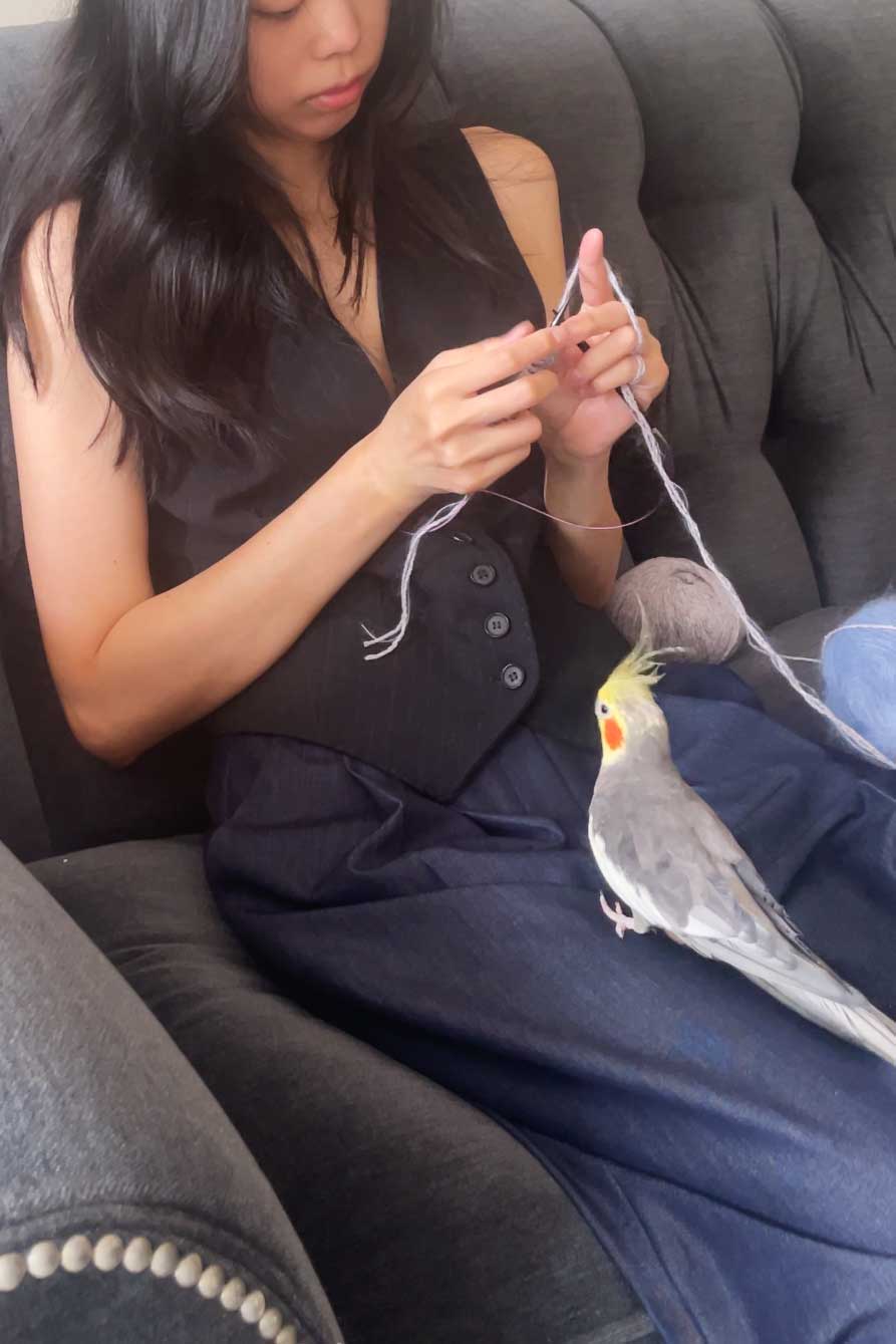 knitting-with-a-little-creature