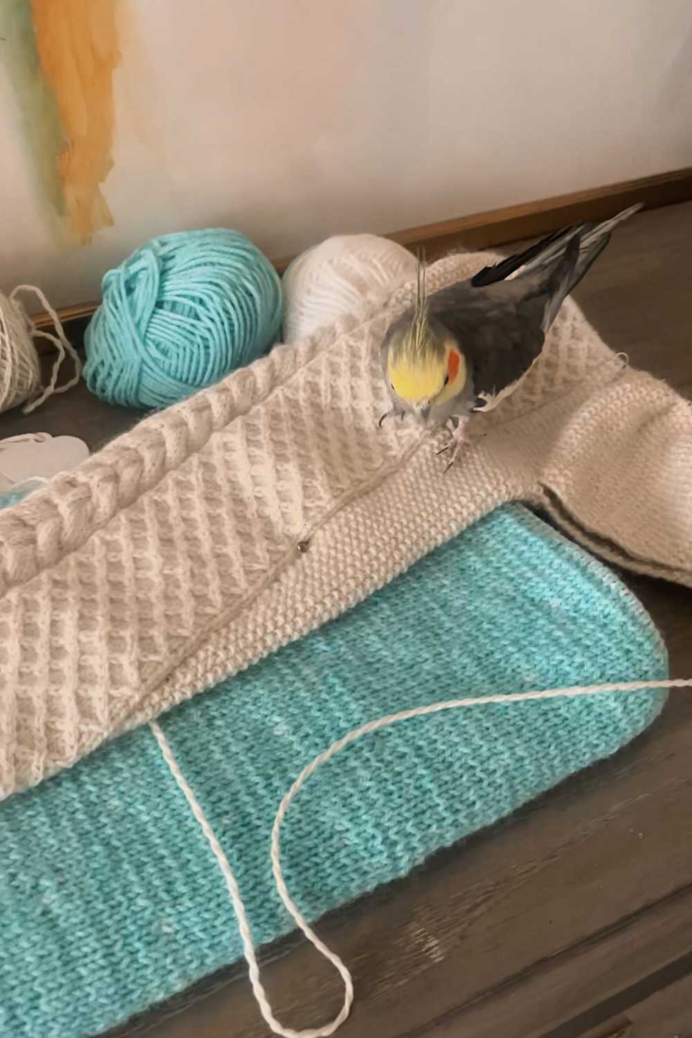 knitting-with-knit-picks-woodland-yarn-cable-sweater