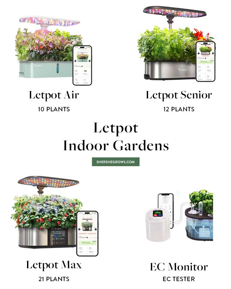 letpot-indoor-gardens-review