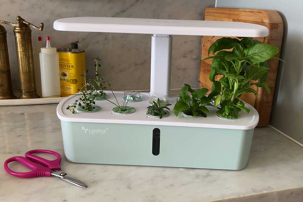 letpot-lph-air-indoor-garden-review