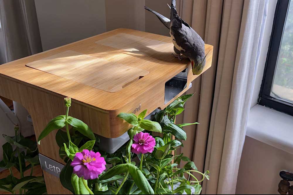 letpot-lph-home-2-tiered-indoor-garden-on-wheels