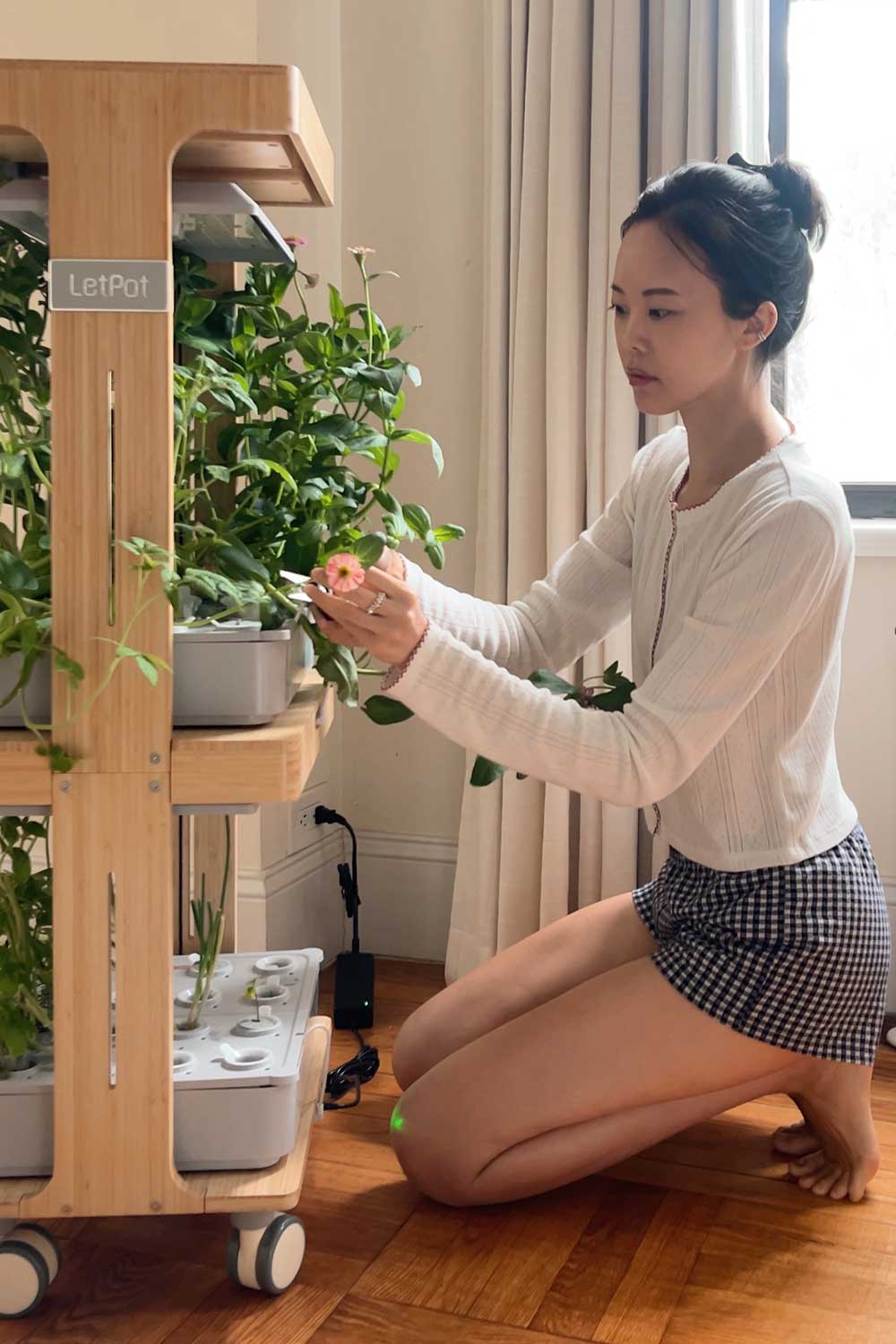 letpot-lph-home-review-indoor-hydroponic-garden