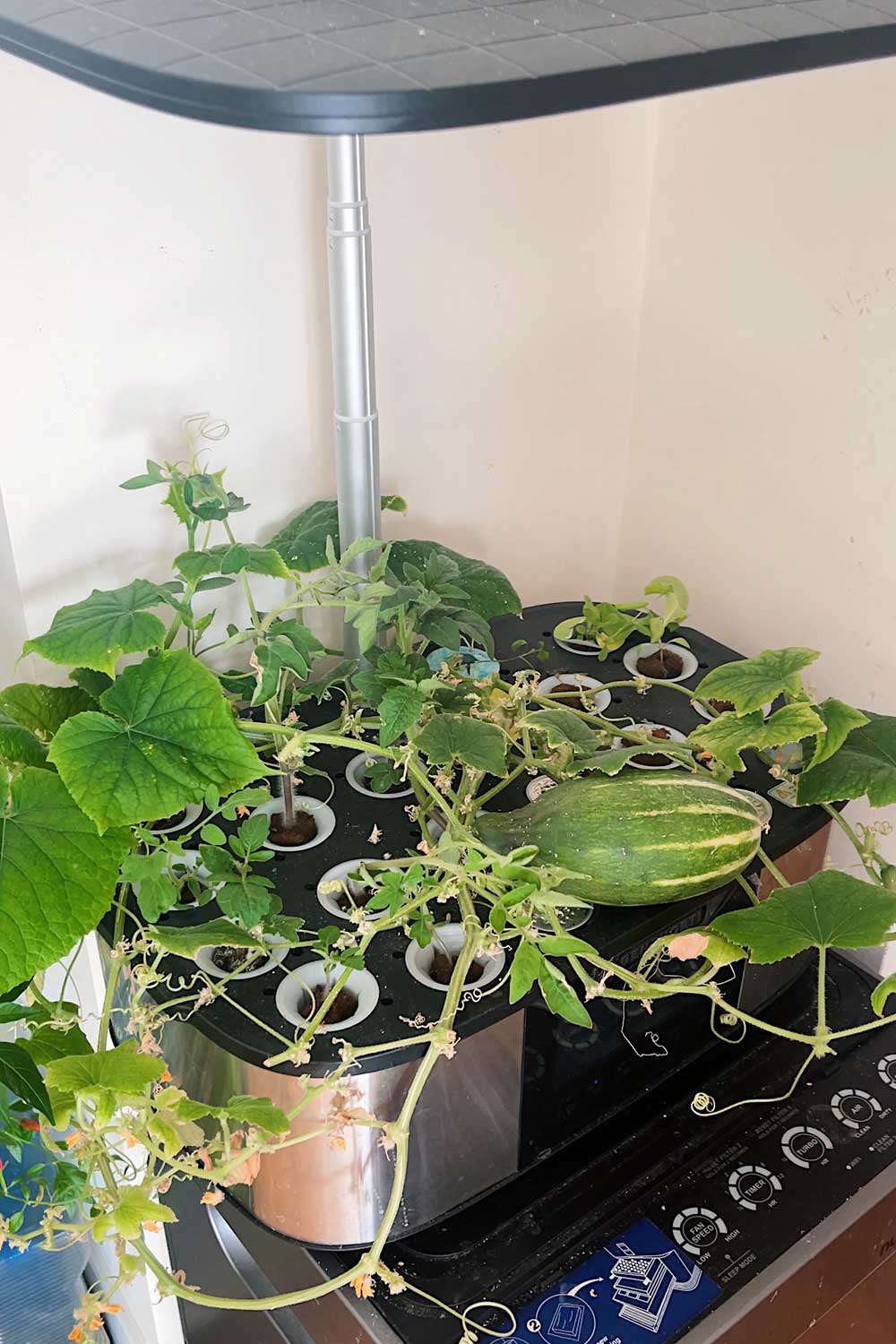 letpot-max-indoor-garden-review