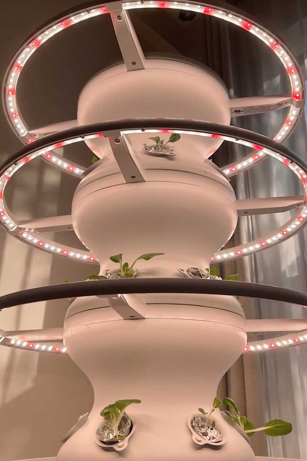 lettuce-grow-farmstand-glow-ring-lights