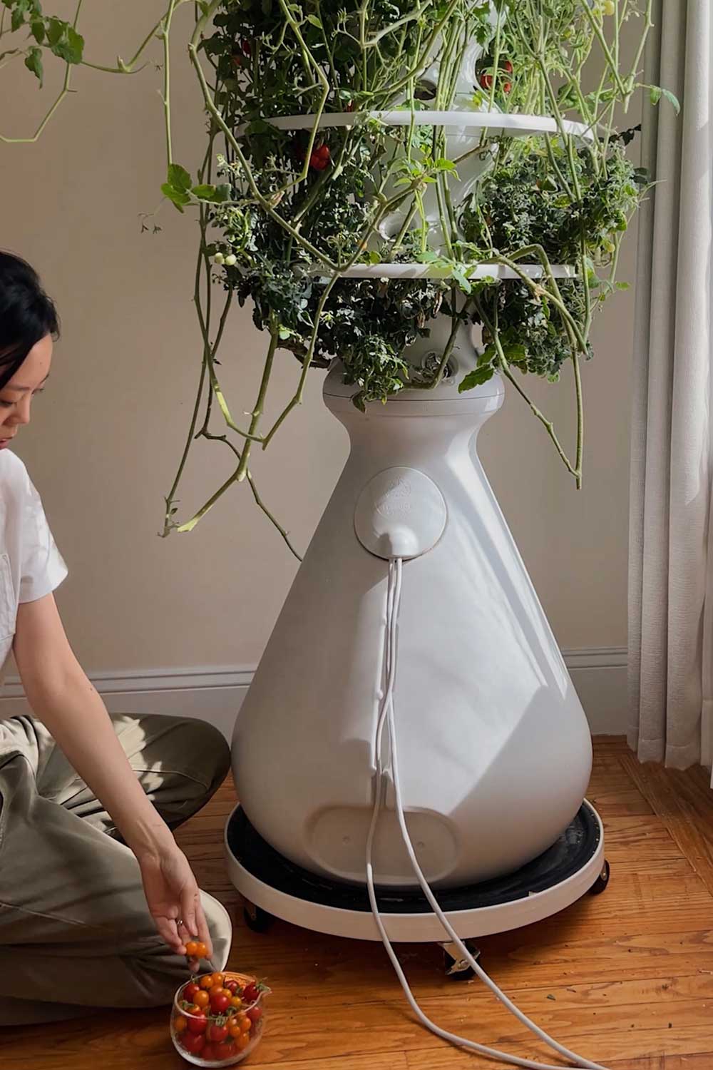 lettuce-grow-farmstand-on-a-rolling-dolly-with-water-mat-growing-tomatoes