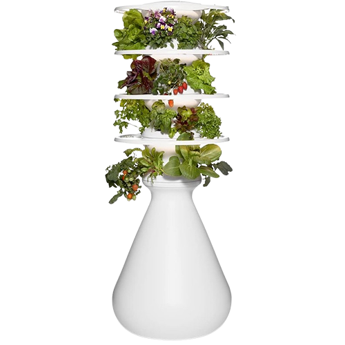 lettuce-grow-medium-indoor-farmstand