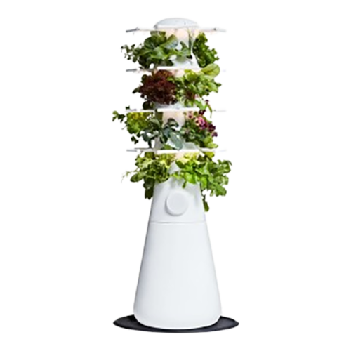 lettuce-grow-nook