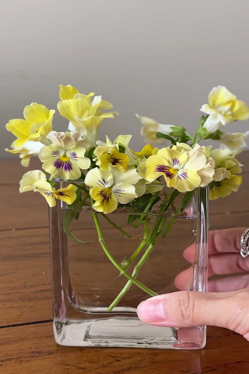 mini-bouquet-violas-edible-flowers-grown-indoors-hydroponically