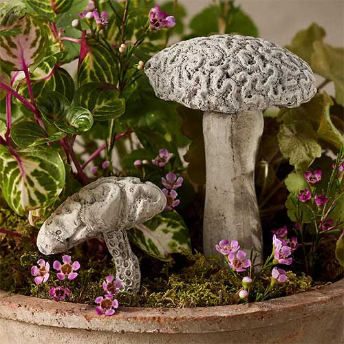 mushroom-concrete-pick-planter-decor