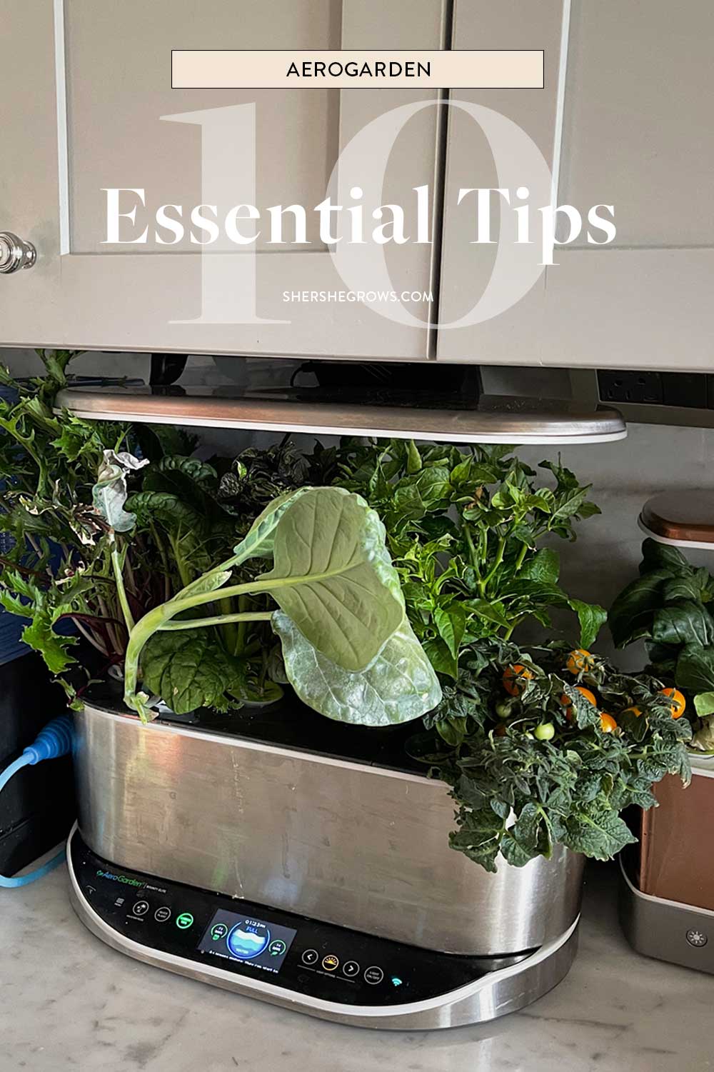 must-know-aerogarden-tips-for-beginners