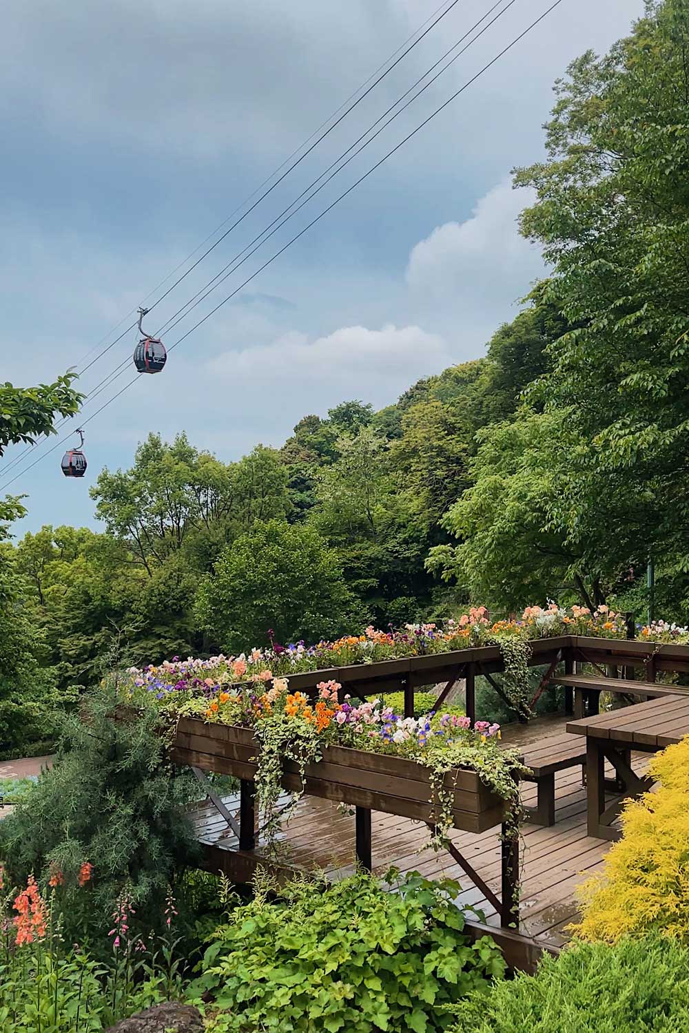 nunobiki-herb-garden-in-kobe-japan