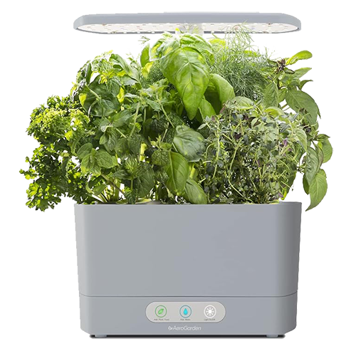 nyc-apartment-indoor-garden-aerogarden-harvest