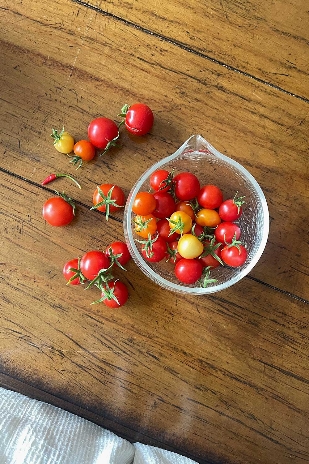 patio-red-cherry-tomatoes-grown-indoors-hydroponically