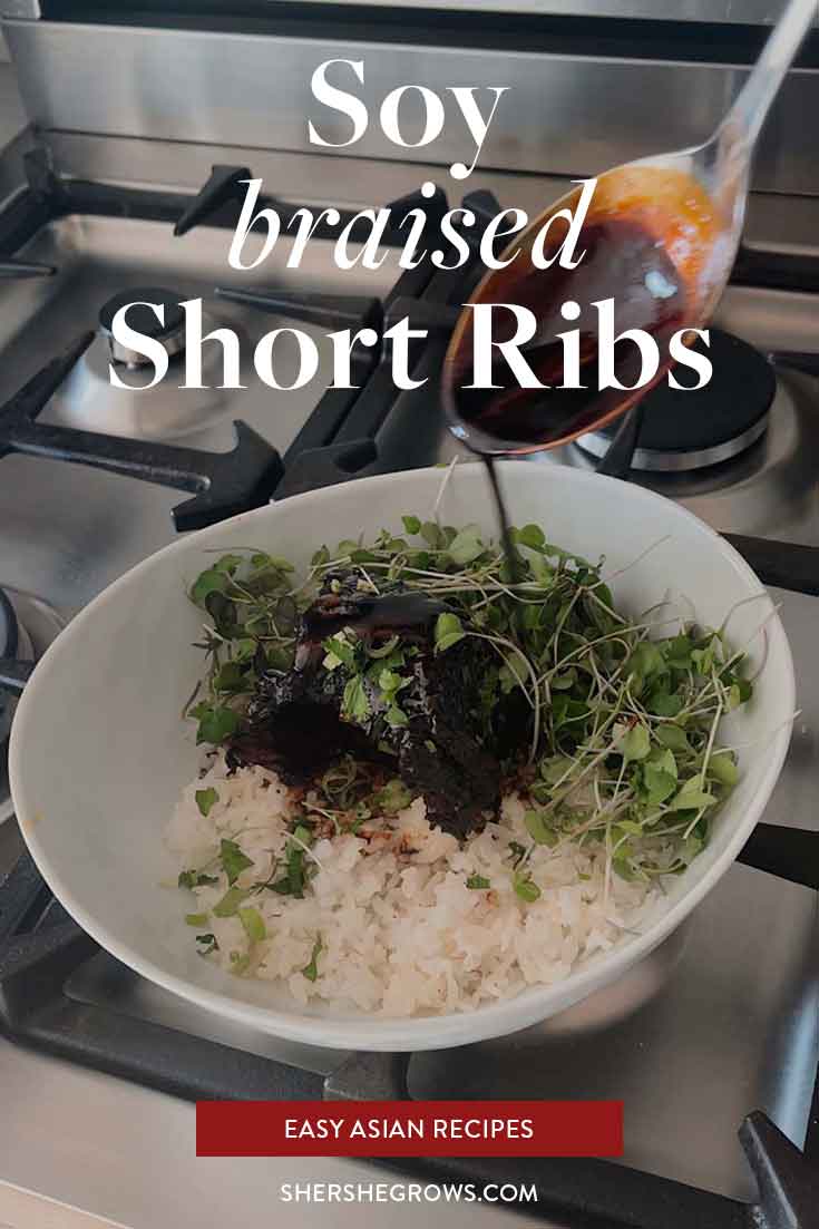 soy-short-rib-easy-asian-recipe