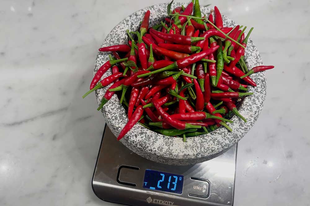 thai-dragon-chili-harvest-grown-indoors-hydroponic-garden