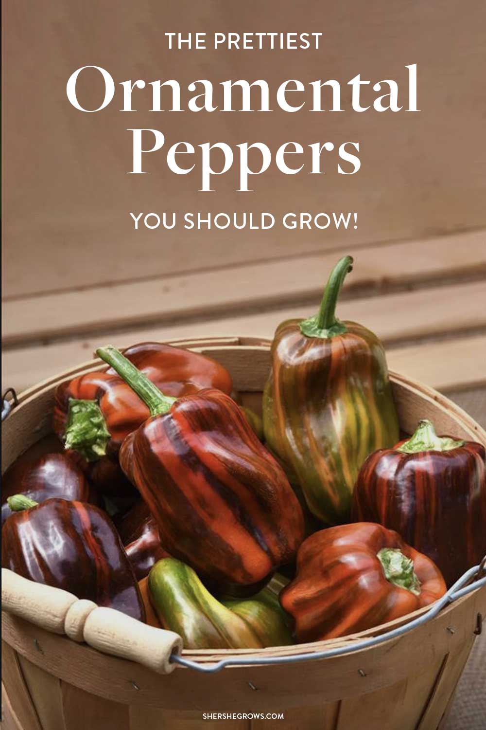 types-of-ornamental-peppers