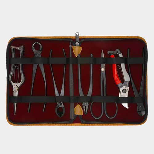 unique-gift-for-gardeners-bonsai-pruning-kit