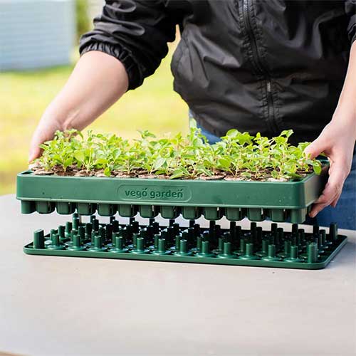 useful-gift-for-gardener-3-in-1-seed-popper-plant-dibbler