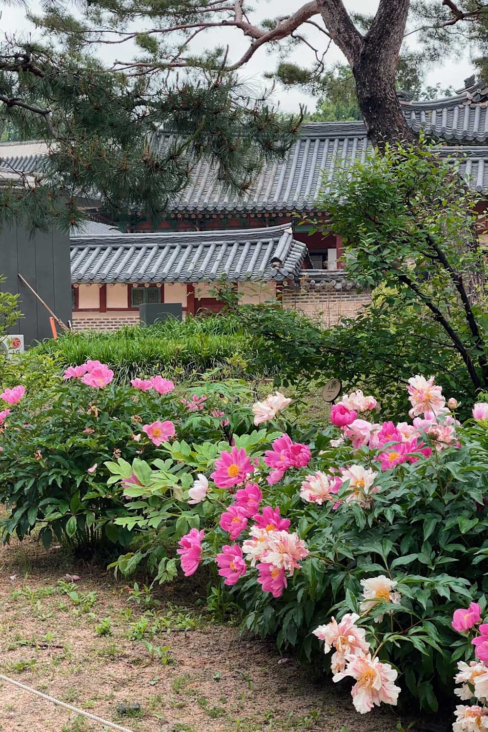 visiting-seoul-for-the-first-time