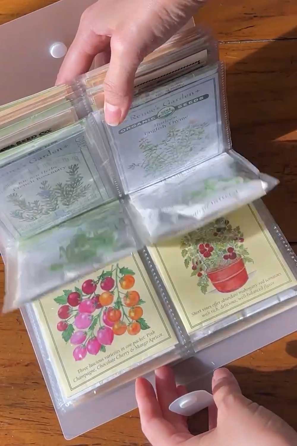 where to buy seeds for hydroponic indoor garden