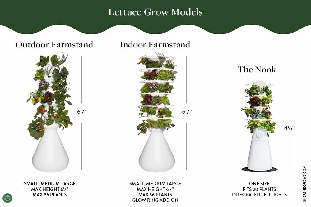 which-lettuce-grow-garden-is-best